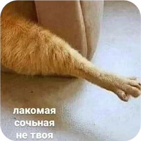 Стикер 23 из набора Котопак