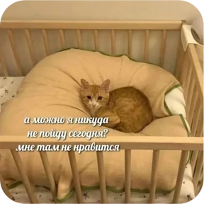 Стикер 24 из набора Котопак