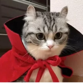 Стикер из набора Коты комару by almaz