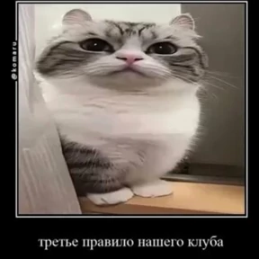 Стикер 8 из набора Коты комару by almaz