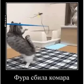 Стикер 9 из набора Коты комару by almaz