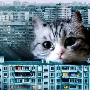 Стикер 13 из набора Коты комару by almaz