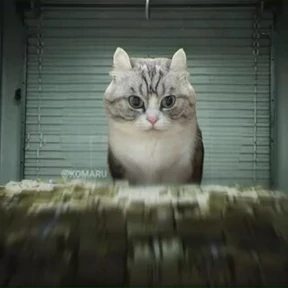Стикер 22 из набора Коты комару by almaz