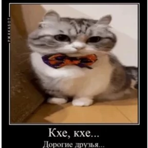 Стикер 23 из набора Коты комару by almaz