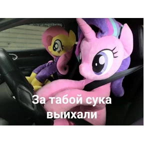 Стикер 6 из набора Коты-мемы 3