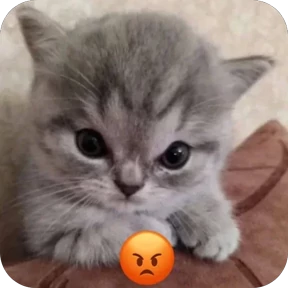 Стикер 9 из набора Коты-мемы 3