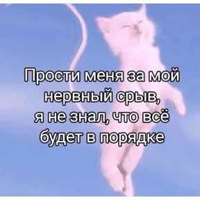 Стикер 10 из набора Коты-мемы 3