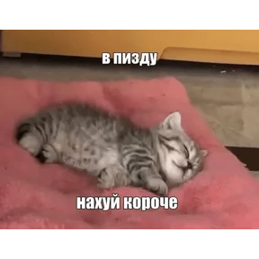Стикер 13 из набора Коты-мемы 3