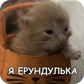 Стикер 16 из набора Коты-мемы 3