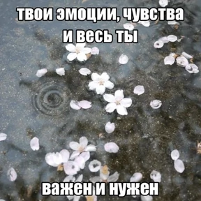 Стикер 19 из набора Коты-мемы 3