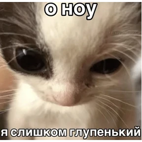 Стикер 22 из набора Коты-мемы 3