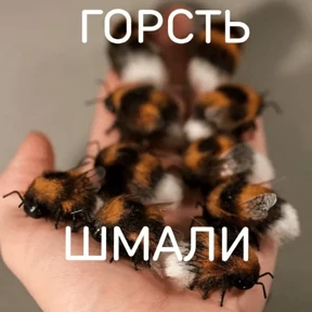 Стикер 26 из набора Коты-мемы 3