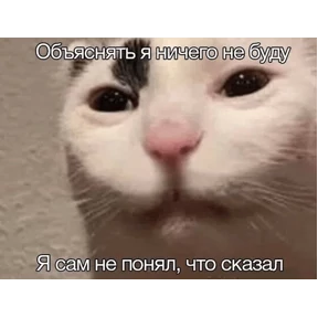 Стикер 32 из набора Коты-мемы 3