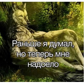 Стикер 35 из набора Коты-мемы 3