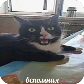 Стикер 37 из набора Коты-мемы 3