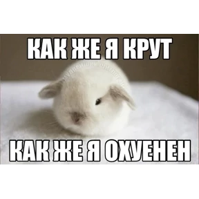 Стикер 38 из набора Коты-мемы 3