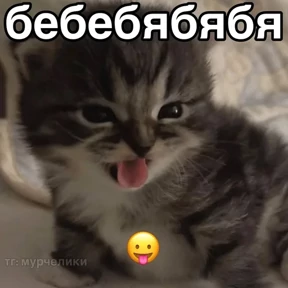 Стикер 42 из набора Коты-мемы 3