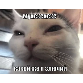 Стикер 44 из набора Коты-мемы 3
