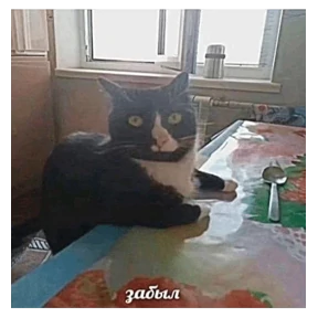 Стикер 5 из набора Коты-мемы 3