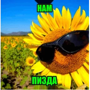 Стикер 49 из набора Коты-мемы 3