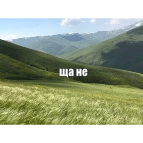 Стикер 50 из набора Коты-мемы 3