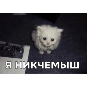 Стикер 53 из набора Коты-мемы 3