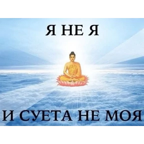Стикер 60 из набора Коты-мемы 3
