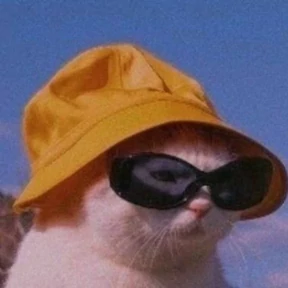 Стикер из набора Коты на каждый день