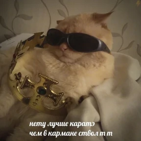 Стикер из набора Коты на каждый день