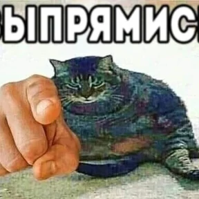 Стикер 1 из набора Коты на каждый день
