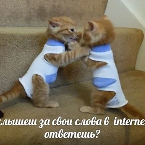 Стикер 24 из набора Коты на каждый день
