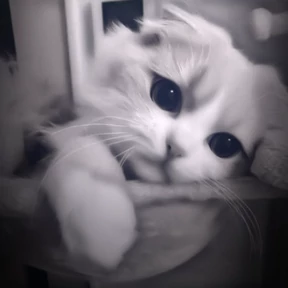 Стикер 6 из набора Котята