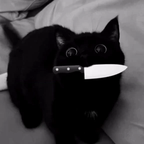 Стикер 3 из набора Котята