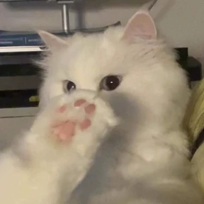 Стикер 20 из набора Котята