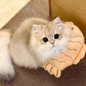 Стикер 21 из набора Котята