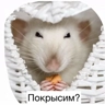 Обложка набора Крысим