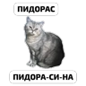 Обложка набора Крысиные