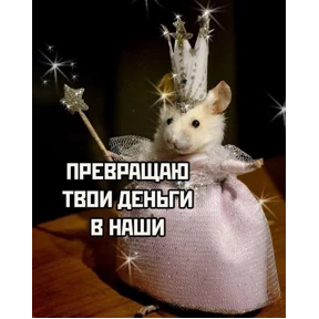Стикер 1 из набора Крысы