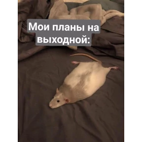 Стикер 7 из набора Крысы