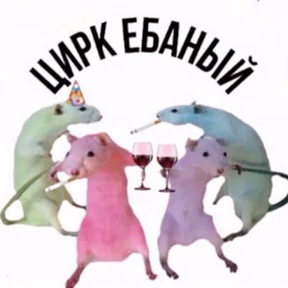 Стикер 26 из набора Крысы
