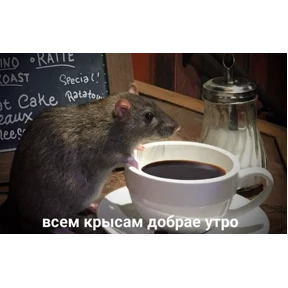 Стикер 34 из набора Крысы