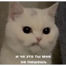 Обложка набора Кусь