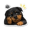 Обложка набора Лея \u003C3