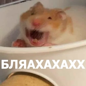 Стикер из набора lolanimals4