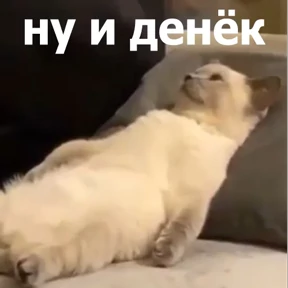 Стикер из набора lolanimals4