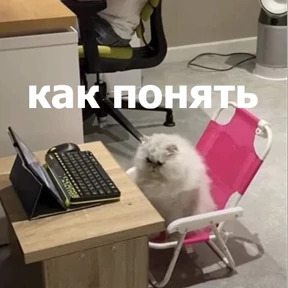 Стикер из набора lolanimals4