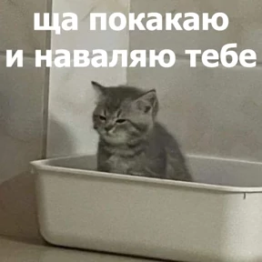 Стикер из набора lolanimals4