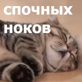 Стикер 8 из набора lolanimals4