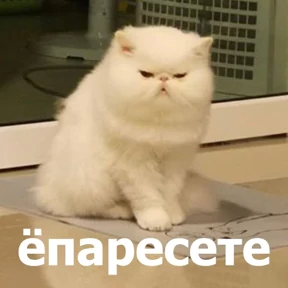 Стикер 9 из набора lolanimals4