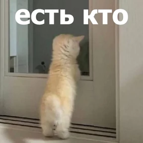 Стикер 10 из набора lolanimals4